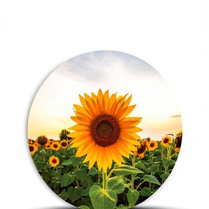 АСТ Alternative Medicine Healing Guide – Russian Kindle eBook 233-0