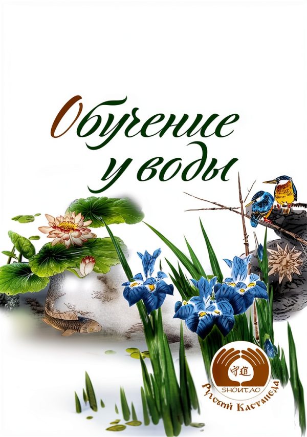 Russian Yoga Philosophy Kindle eBook by Амрита-Русь, 301 Pages-0